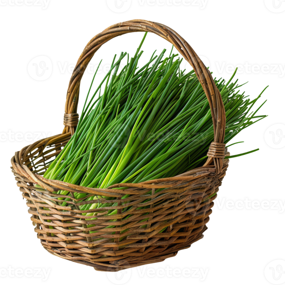 Freshly Picked Green Chives in a Wicker Basket png