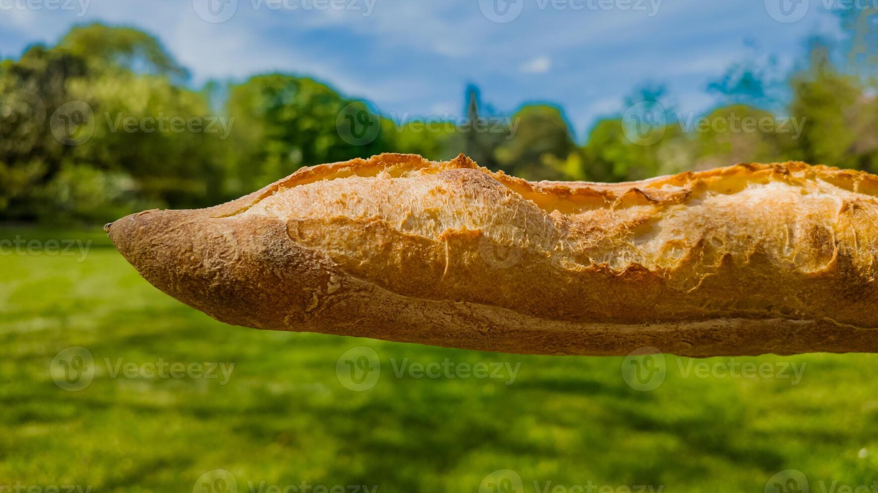 Close up of a fresh baguette with a crisp crust against a vibrant green park background, perfect for picnic and gastronomy related themes photo