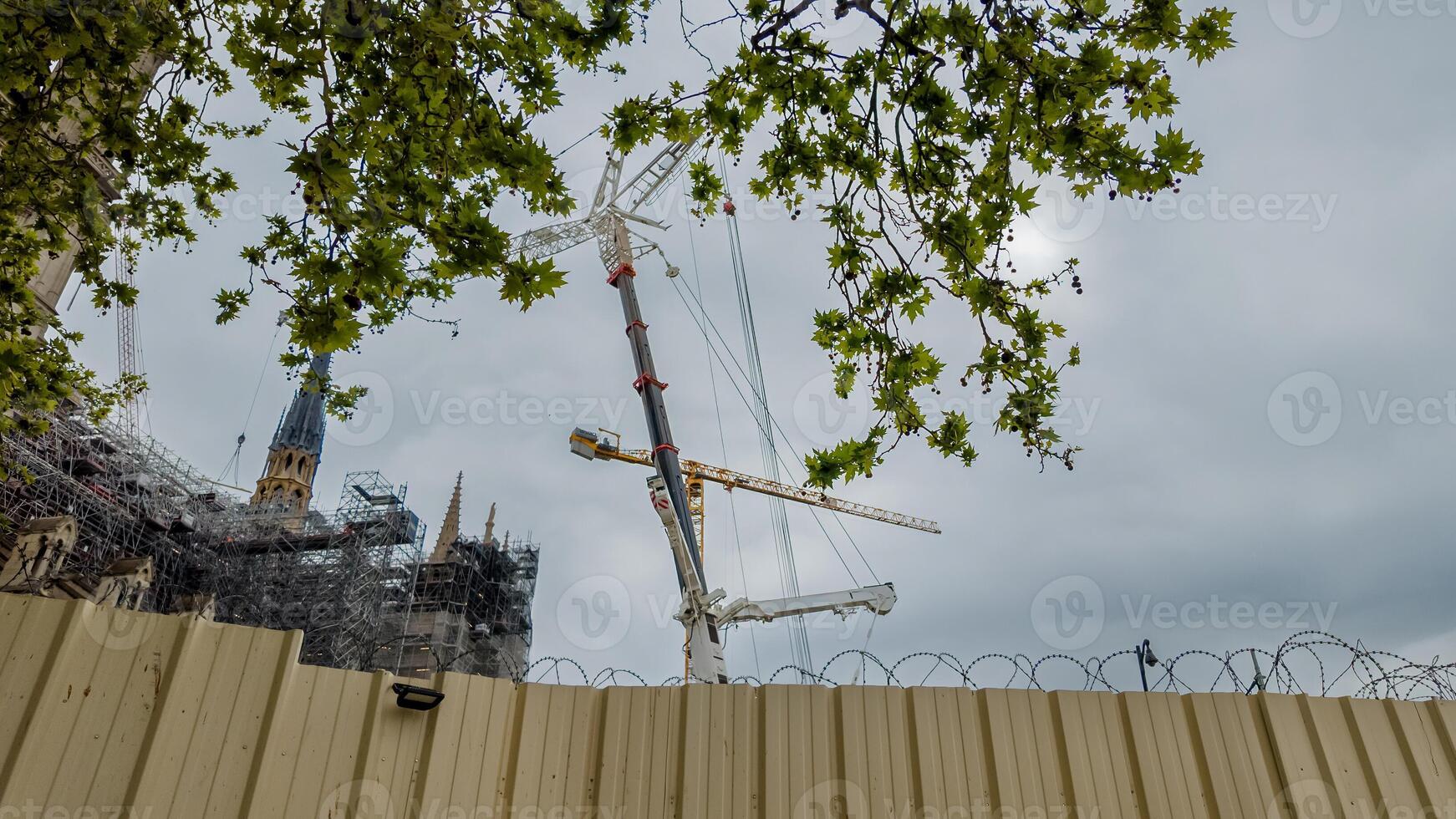 Restoration work in progress at a historic cathedral with cranes against cloudy sky, framed by spring foliage, related to architecture and heritage conservation photo