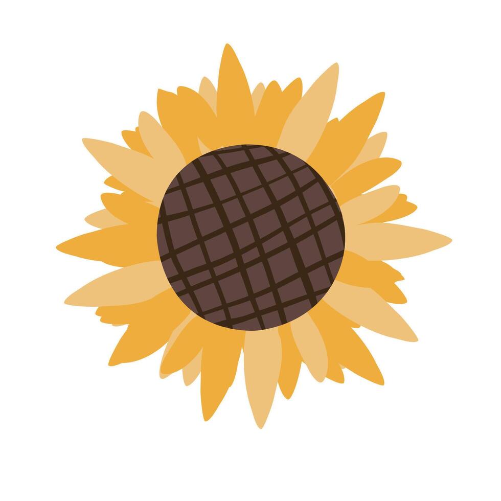 soltero girasol aislado en blanco antecedentes. ilustración. plano flores concepto. mano dibujado ilustración para menú, diseño, volantes, bandera vector