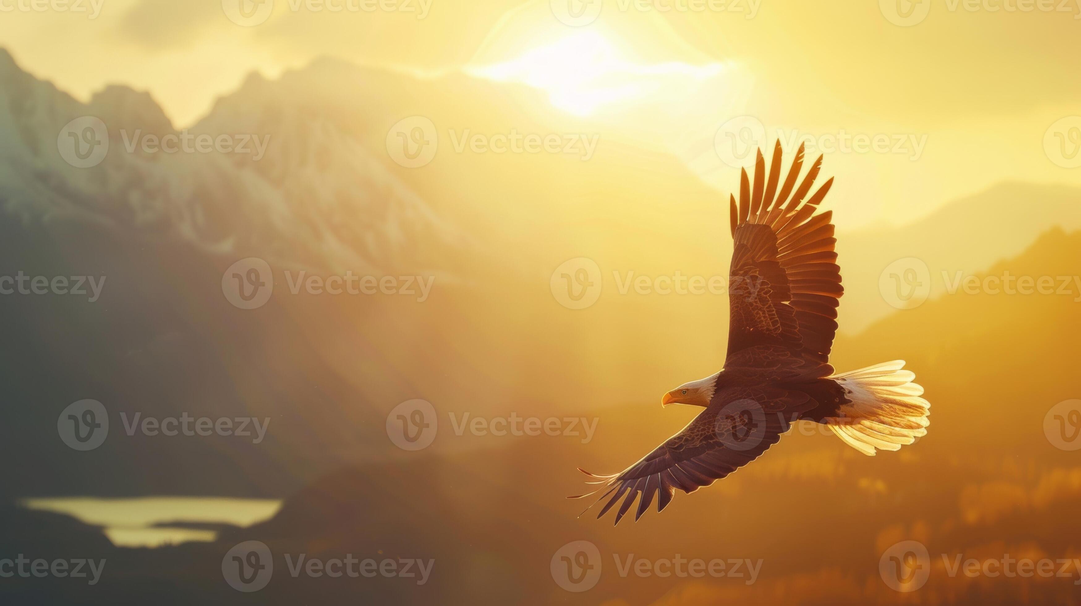 majestic eagle soaring above a mountain range at dawn warm sunlight