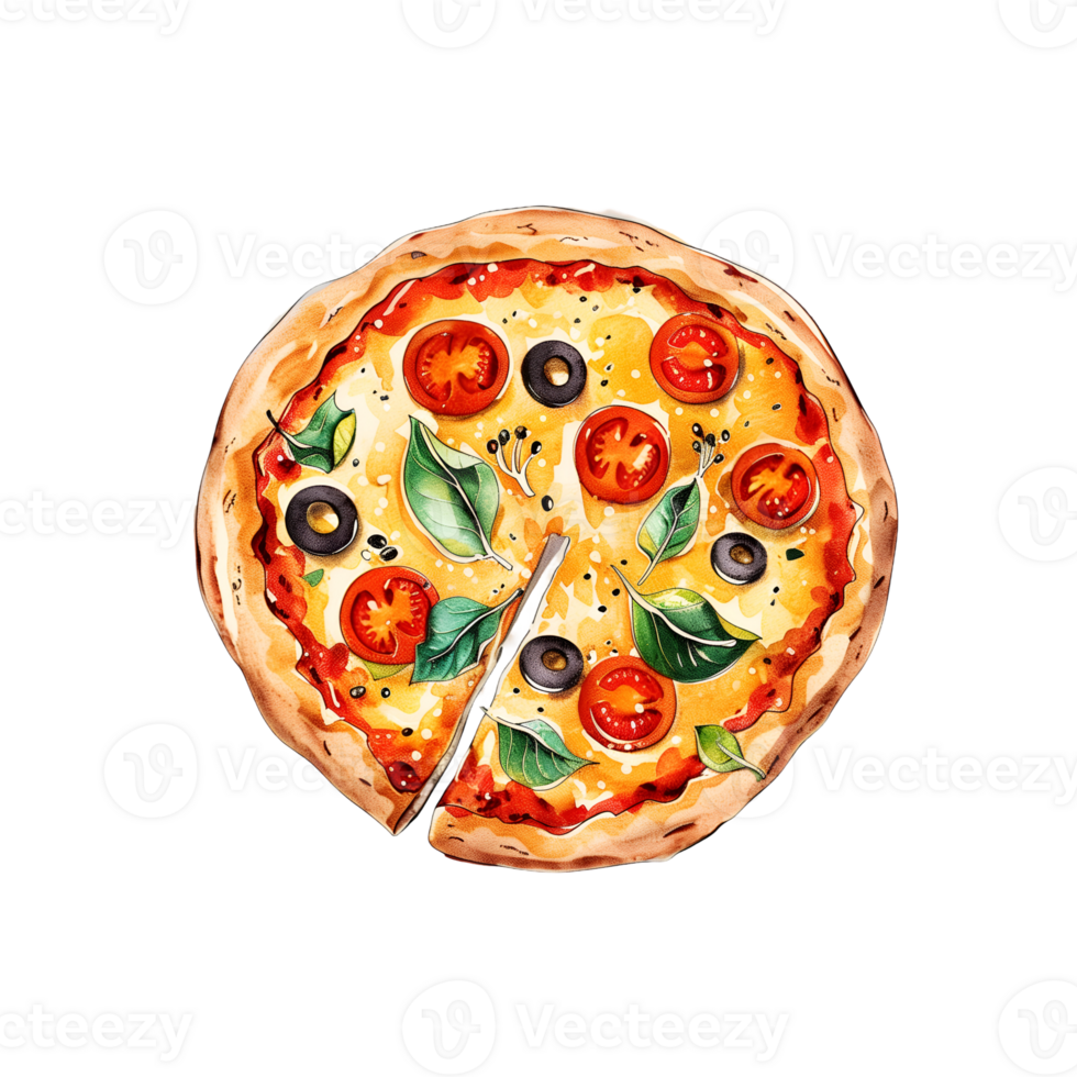 Illustration of a pizza png