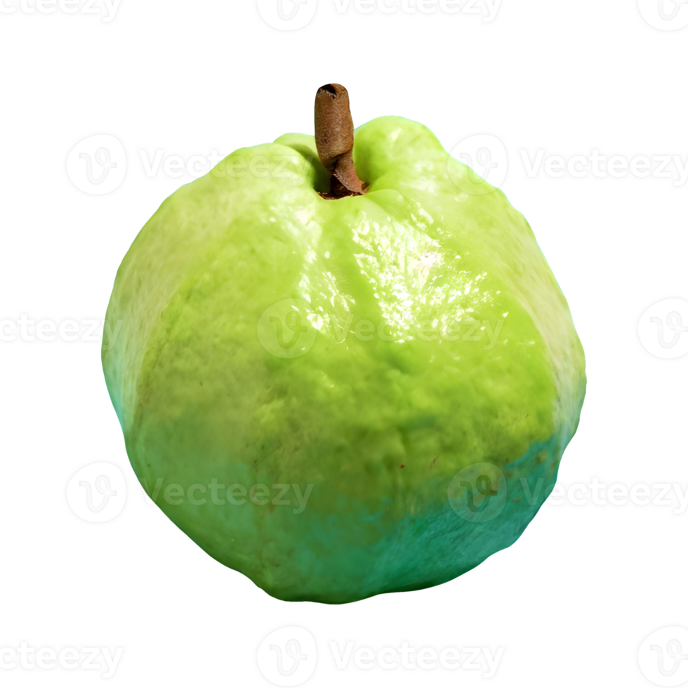 Fresh guava fruit isolated on transparent background png