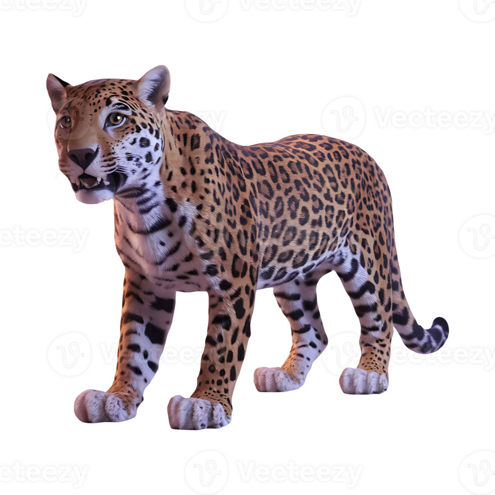 Jaguar leopard wildcat clipart isolated on transparent background png