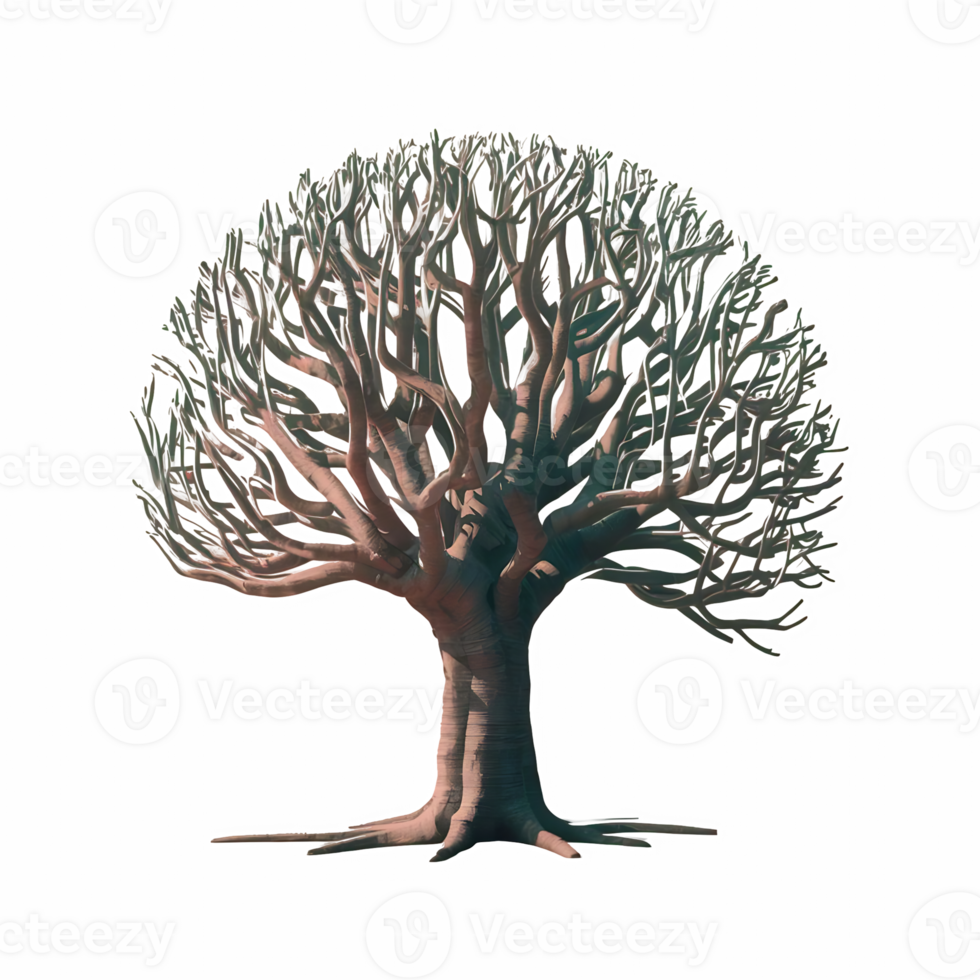Dead tree dry tree cut out isolated on transparent background png