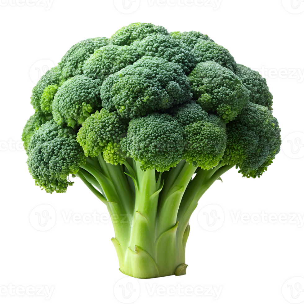 A head of broccoli on transparent background. png