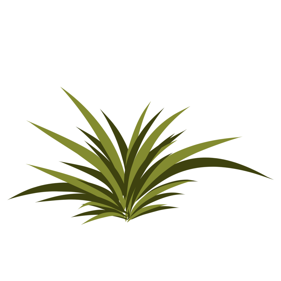 Green grass illustration png