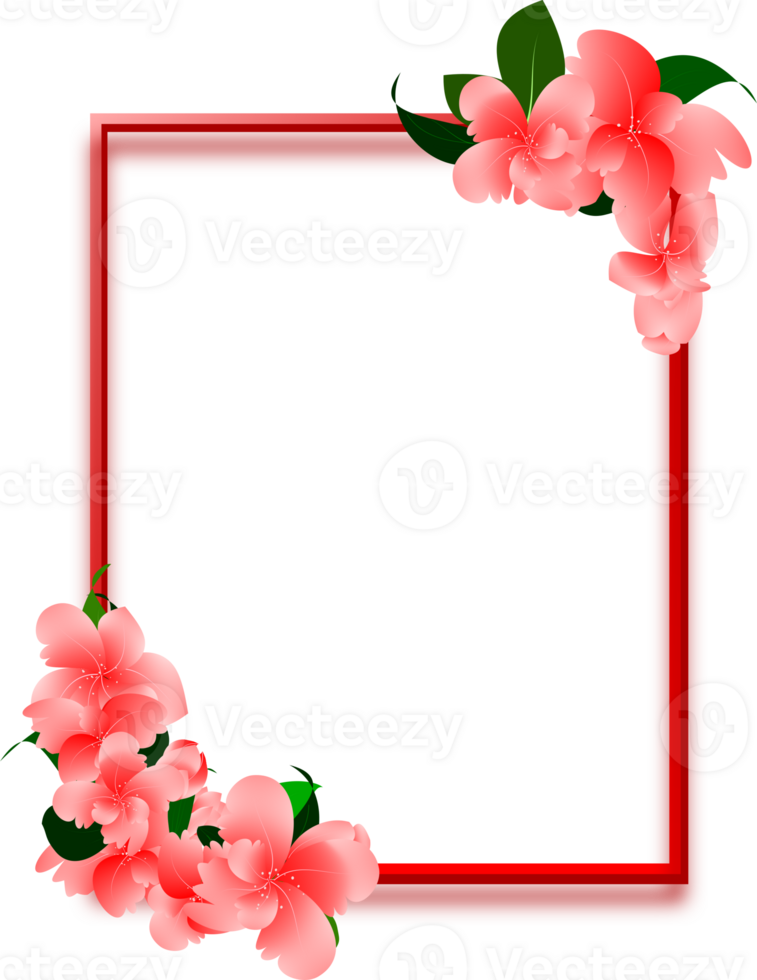 pink flowers arrangement frame png