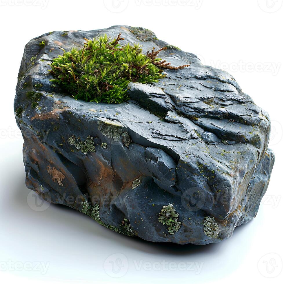 Green moss on a stone isolated on white background with shadow. Rock with forest moss isolated. Rock with wild forest grass and nature photo