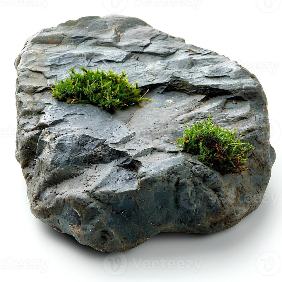 Green moss on a stone isolated on white background with shadow. Rock with forest moss isolated. Rock with wild forest grass and nature photo