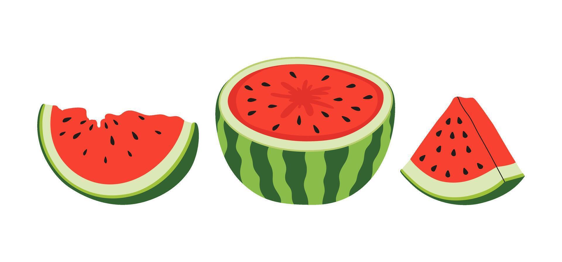 Fresh and juicy whole watermelons and slices. Fruit summer Illustration for recipe cookbook, banner, postcard, menu. Healthy product. flat illustration. vector