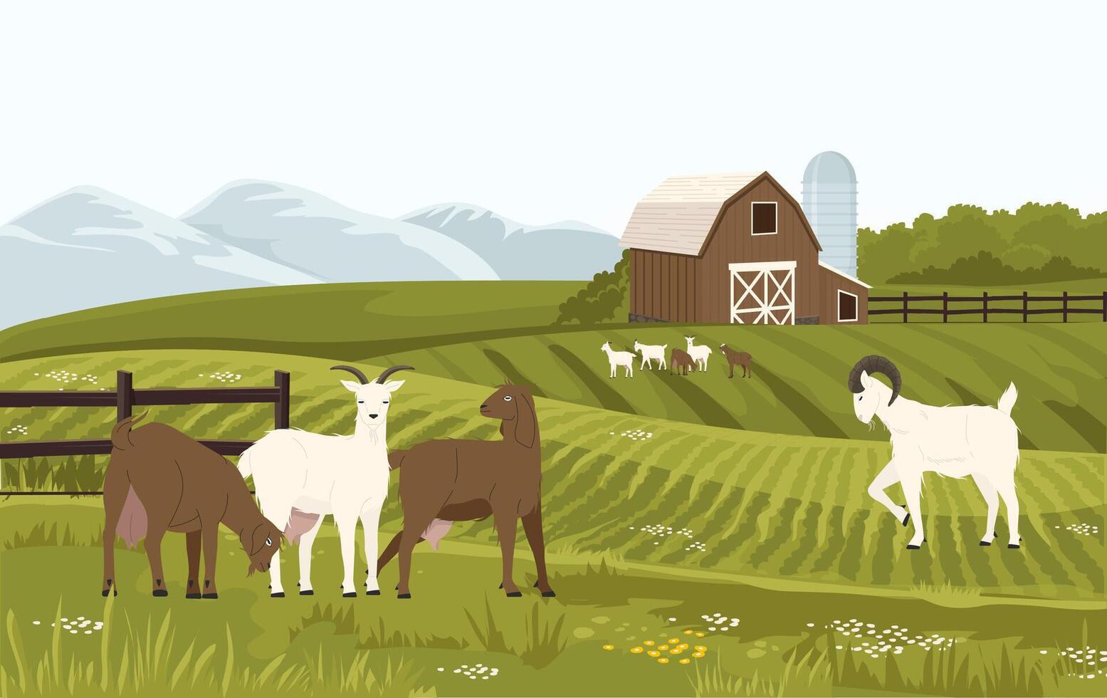 Goat farm. Farm with dairy animals, cottage with baby male and female goats, organic farm for dairy milk production vector