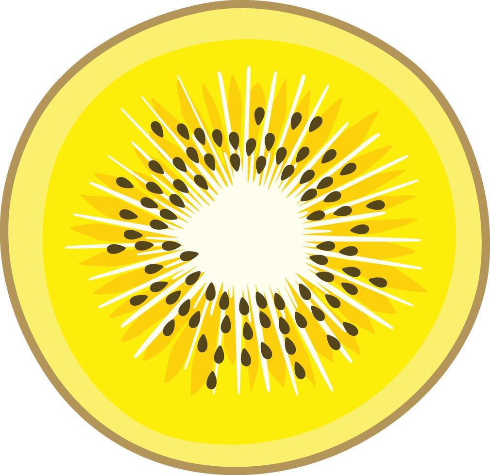 Slice of fresh yellow kiwi vector