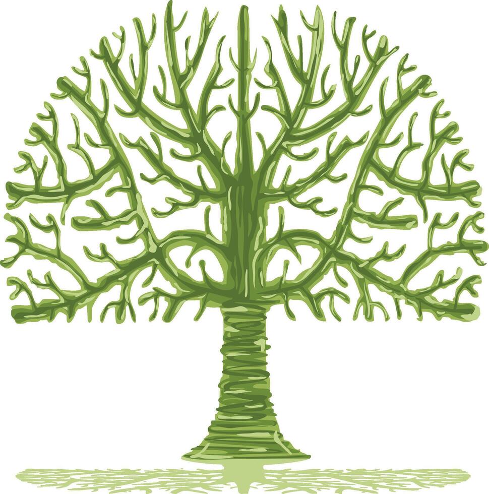 Green tree isolated on white vector