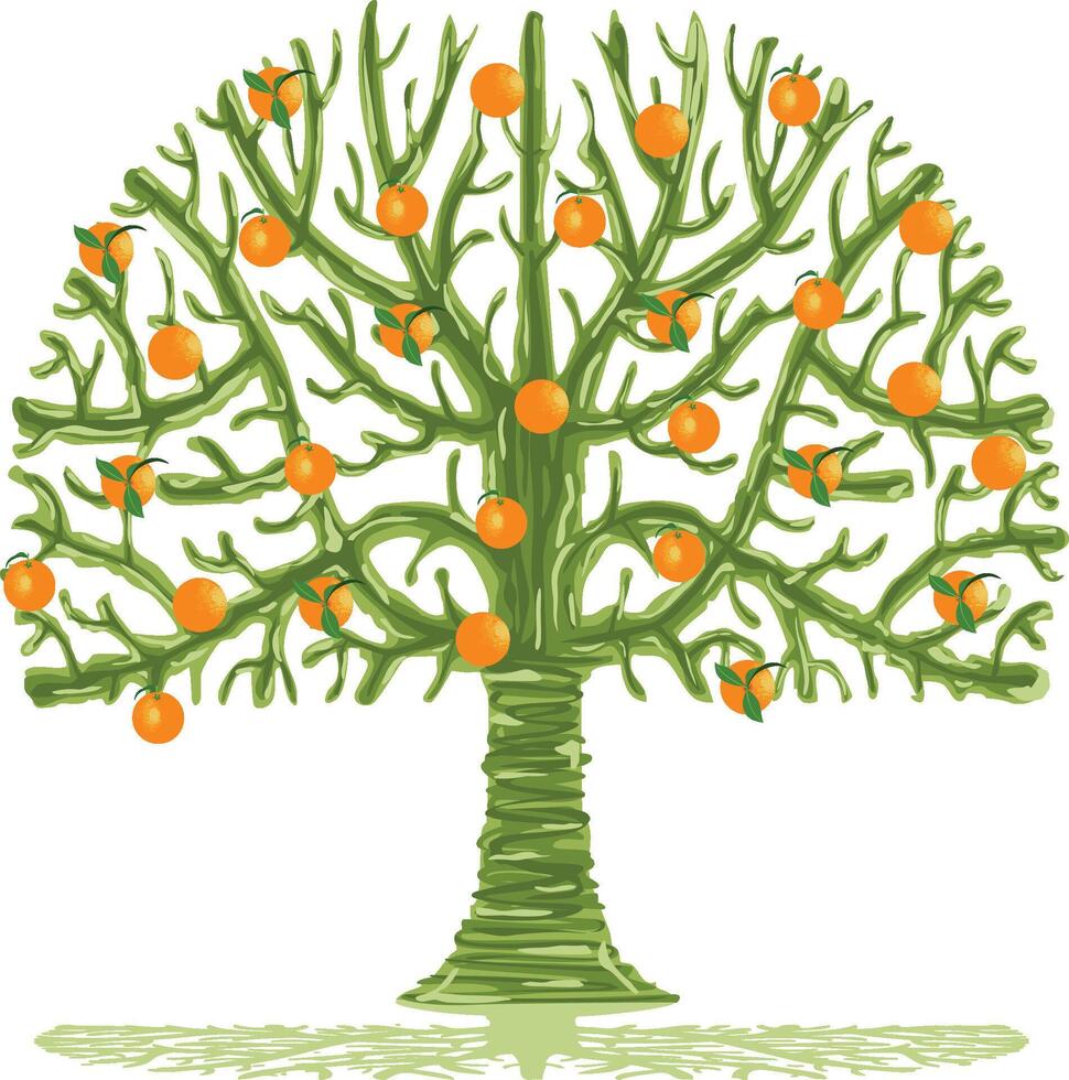 gracioso naranja árbol con Fresco naranjas vector