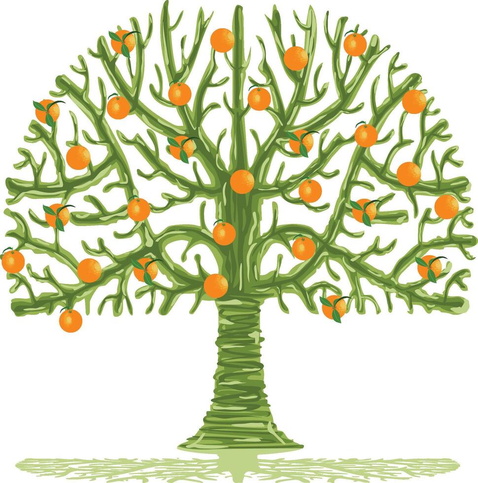 Funny orange tree with fresh oranges vector