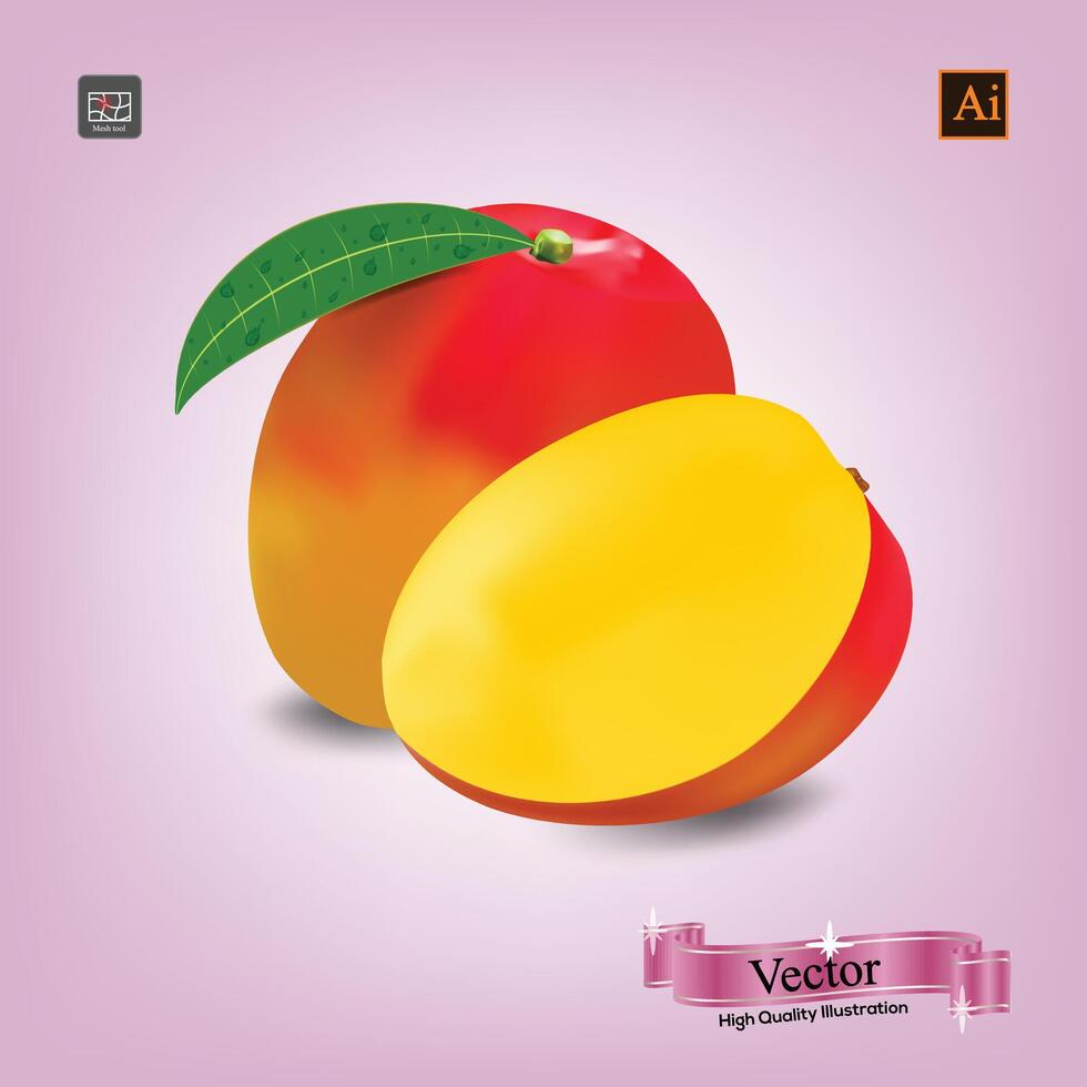 Mango. Whole and pieces. Fresh fruit. vector