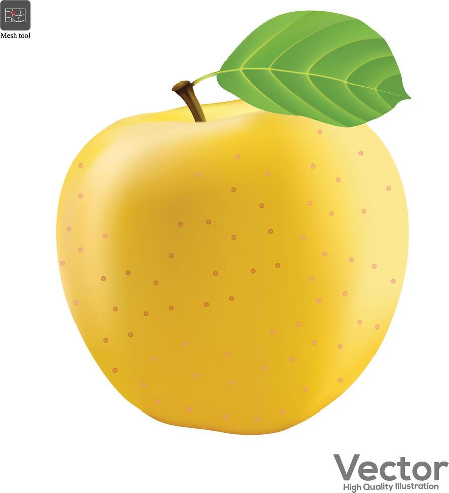 amarillo Fresco manzana aislado en blanco antecedentes. vector