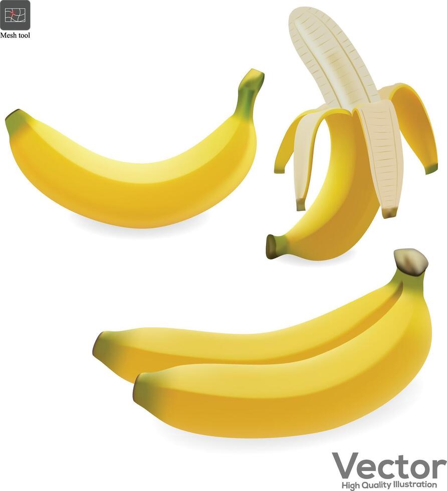 plátano íconos en blanco antecedentes vector