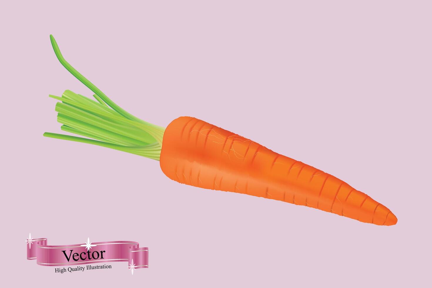 Carrot fresh fruit 3d realistic vector