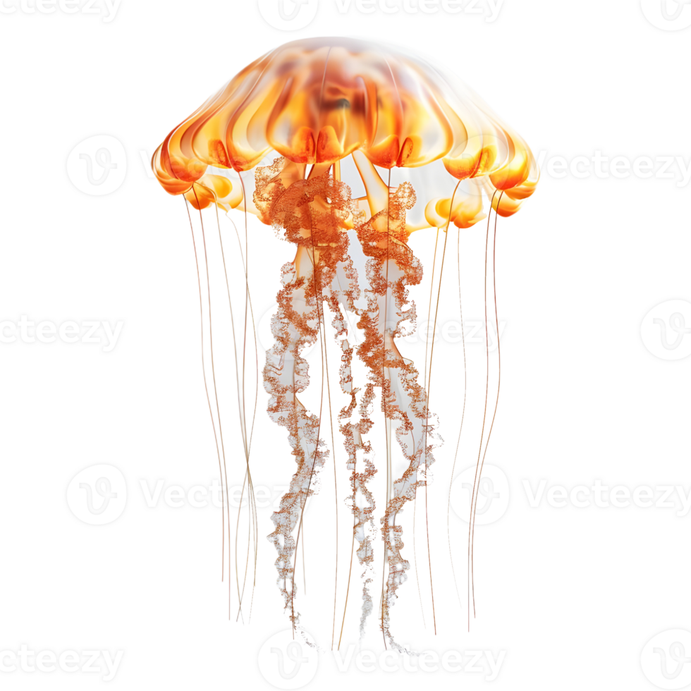 3D Rendering of a Jellyfish Transparent Background png