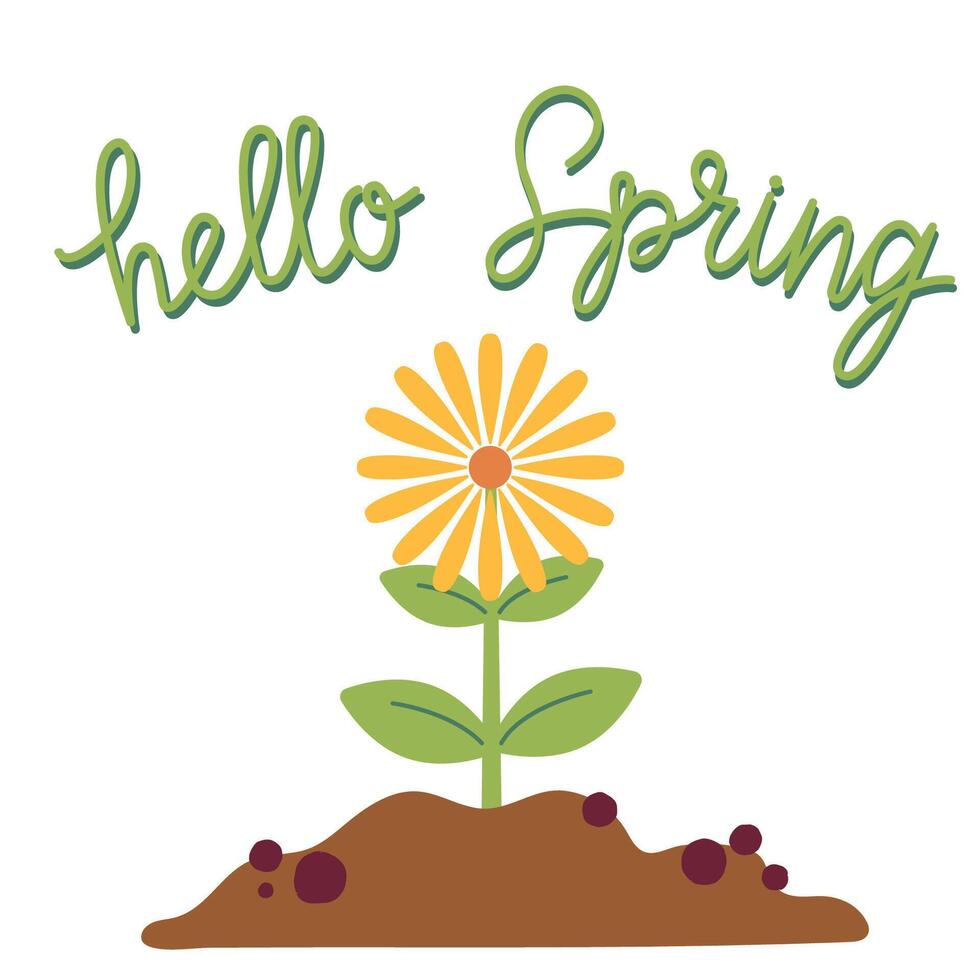 Hello spring card with blooming flower on white background. Gardening and welcome spring concept. illustration for poster, icon, card, logo, label, banner, sticker. vector