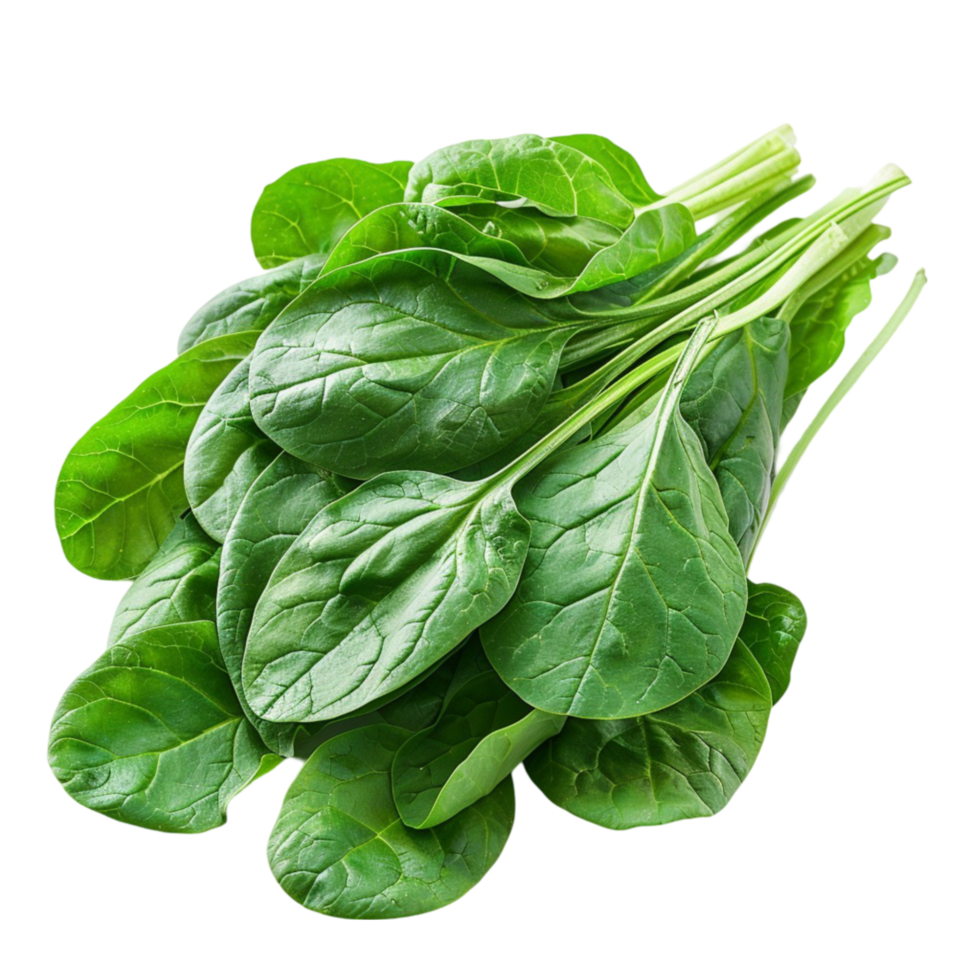 Incorporate More Spinach Into Your Diet for Better Health png