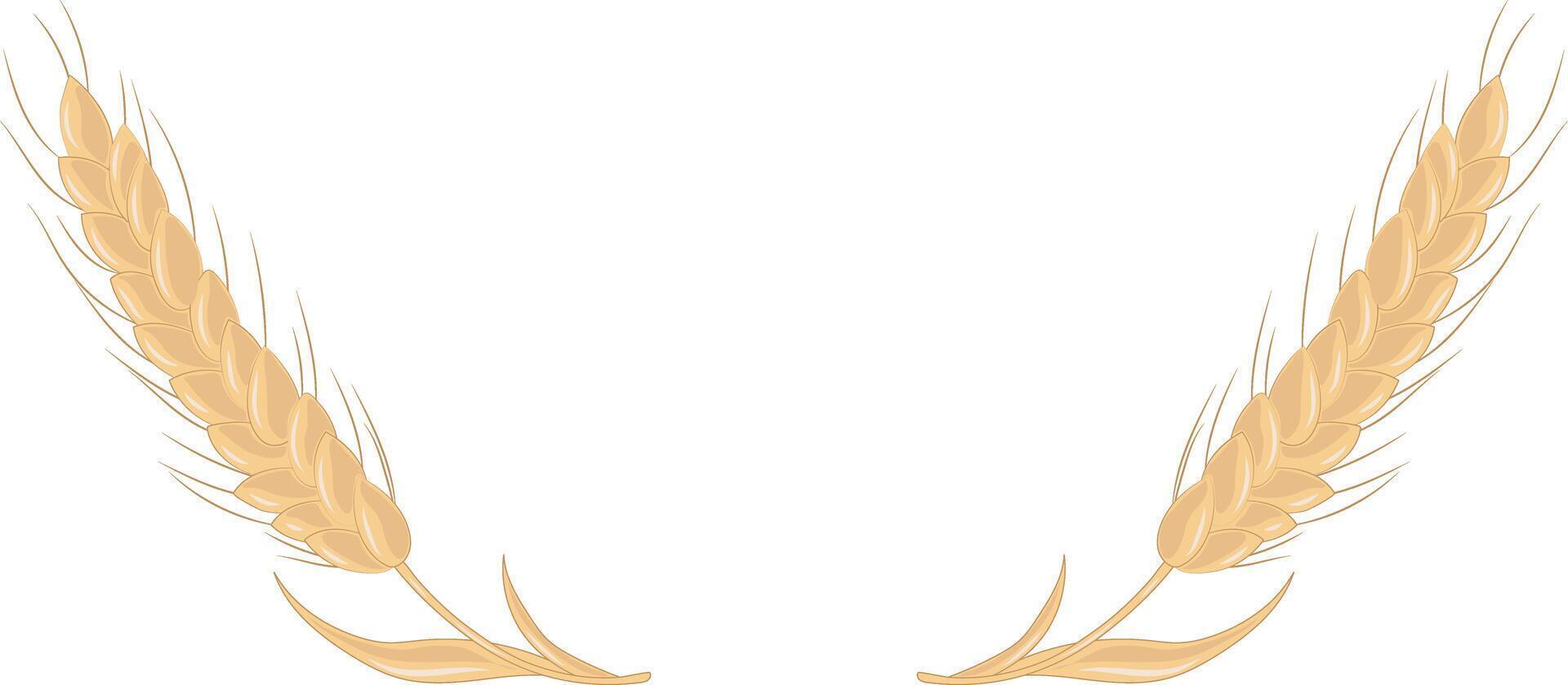 Golden Agriculture Wheat Ears Frame Illustration Graphic Element Art Card vector