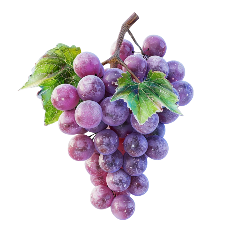 das Wissenschaft von Weinbau kultivieren perfekt Trauben png