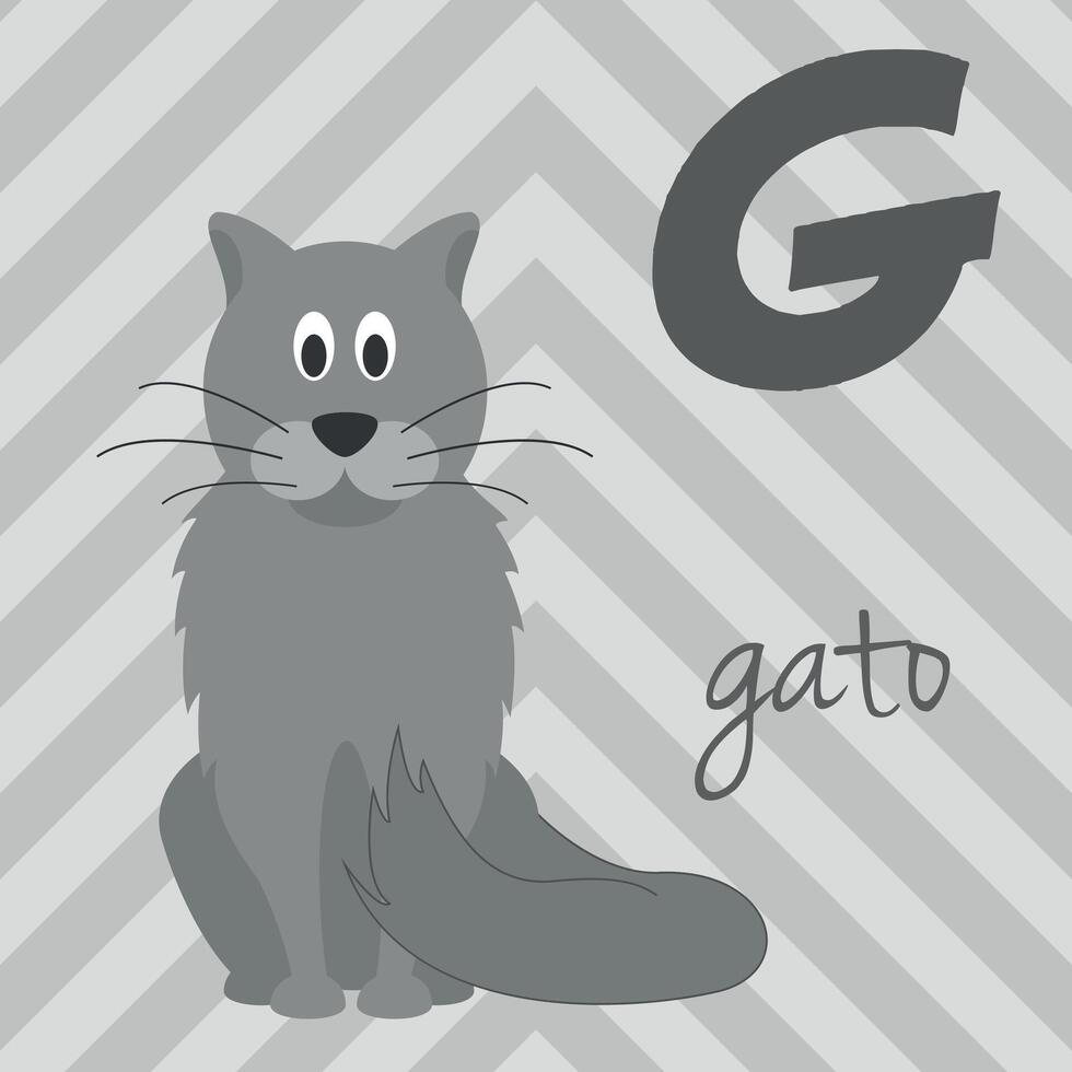 Cute cartoon zoo illustrated alphabet with funny animals. Spanish alphabet. G for Cat in spanish. Learn to read. Isolated illustration. vector