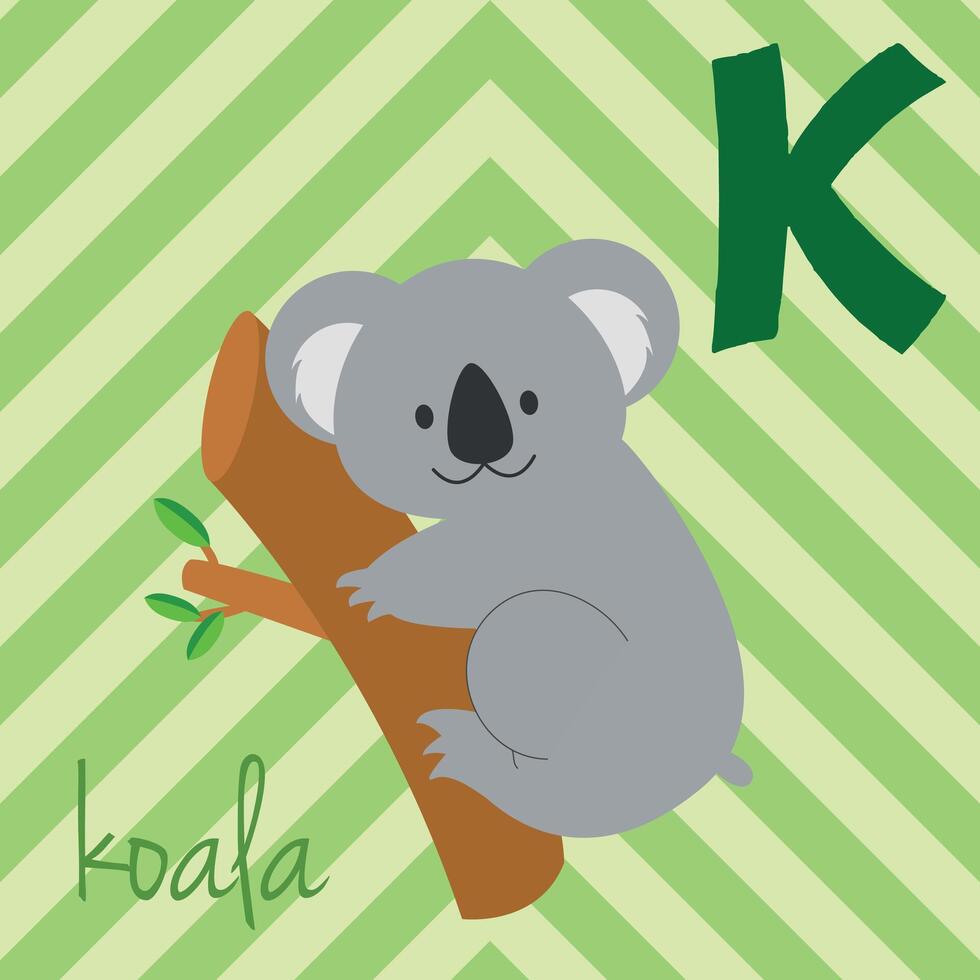 Cute cartoon zoo illustrated alphabet with funny animals. Spanish alphabet. K for Koala in spanish. Learn to read. Isolated illustration. vector