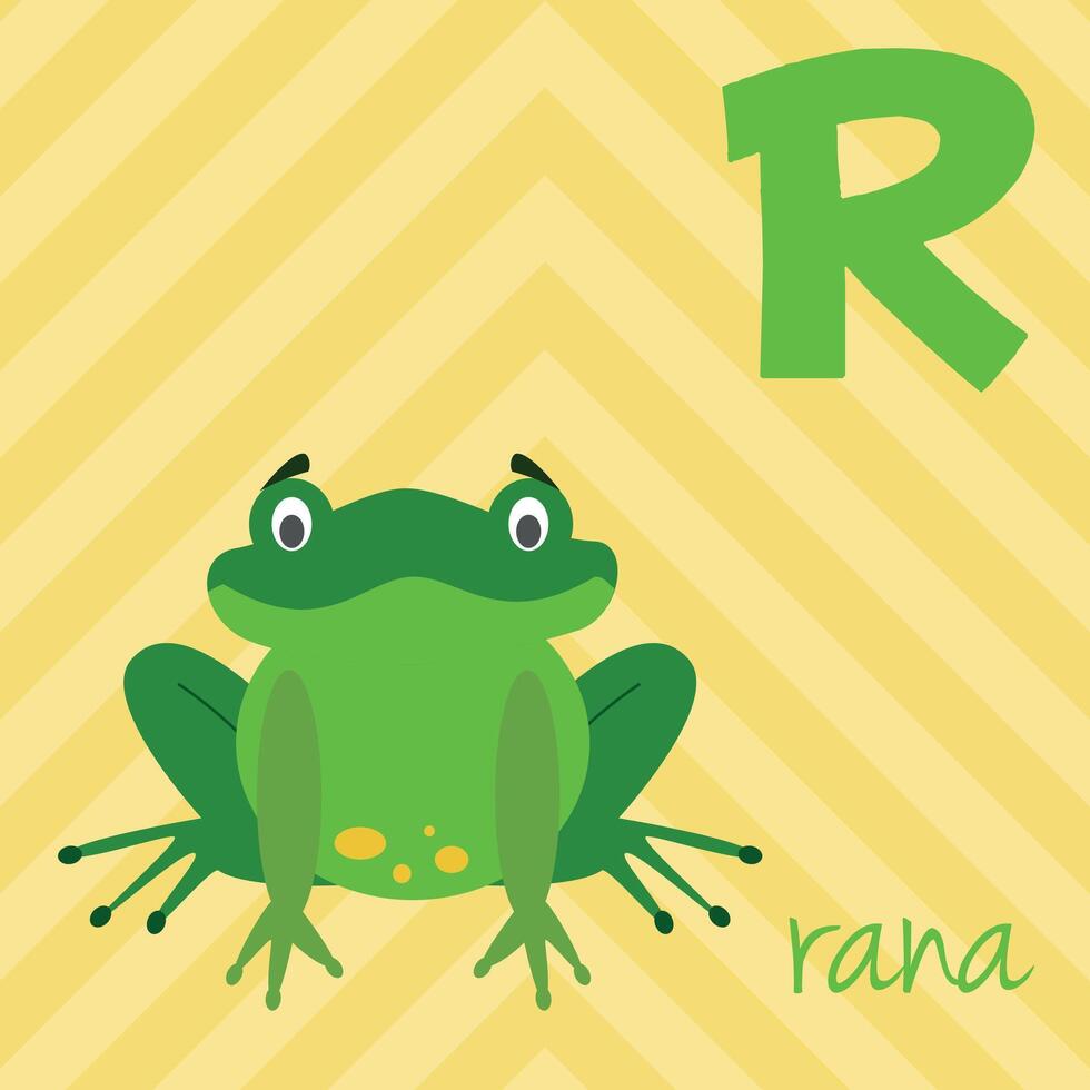 Cute cartoon zoo illustrated alphabet with funny animals. Spanish alphabet. R for Frog in spanish. Learn to read. Isolated illustration. vector