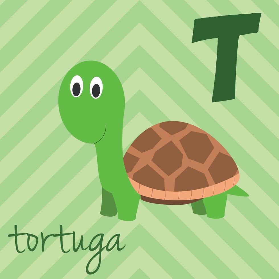 Cute cartoon zoo illustrated alphabet with funny animals. Spanish alphabet. T for Turtle in spanish. Learn to read. Isolated illustration. vector