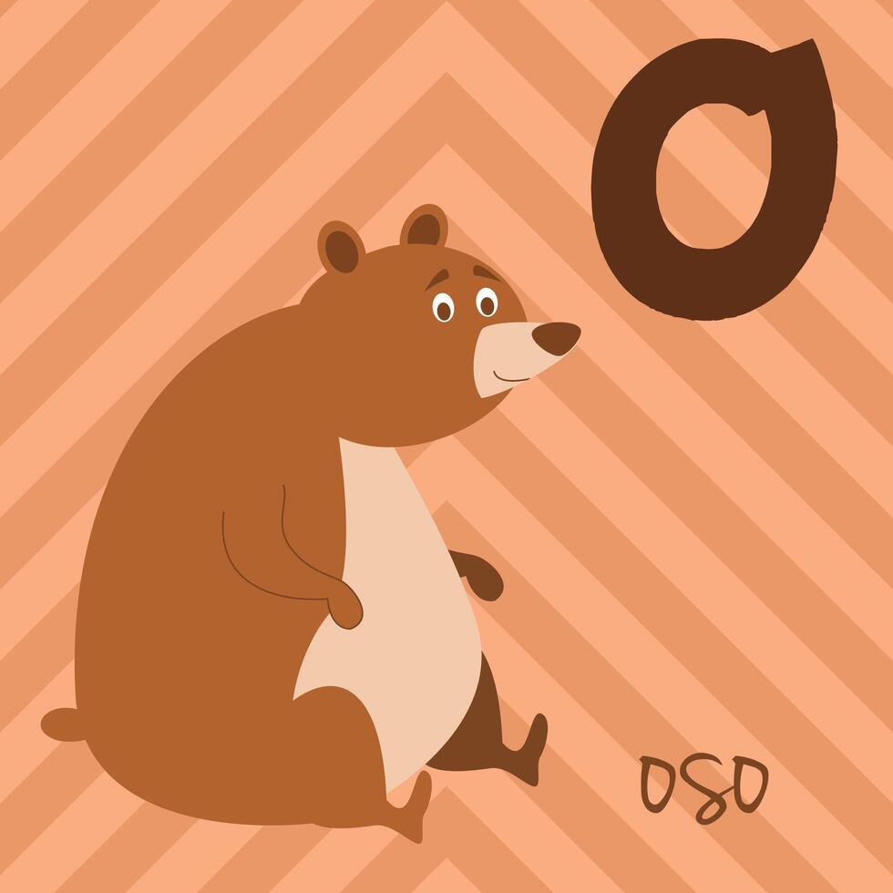 Cute cartoon zoo illustrated alphabet with funny animals. Spanish alphabet. O for Bear in spanish. Learn to read. Isolated illustration. vector