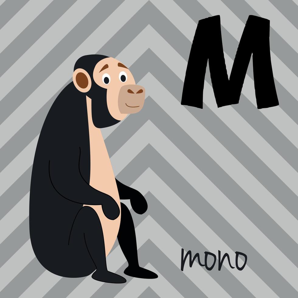 Cute cartoon zoo illustrated alphabet with funny animals. Spanish alphabet. M for Monkey in spanish. Learn to read. Isolated illustration. vector