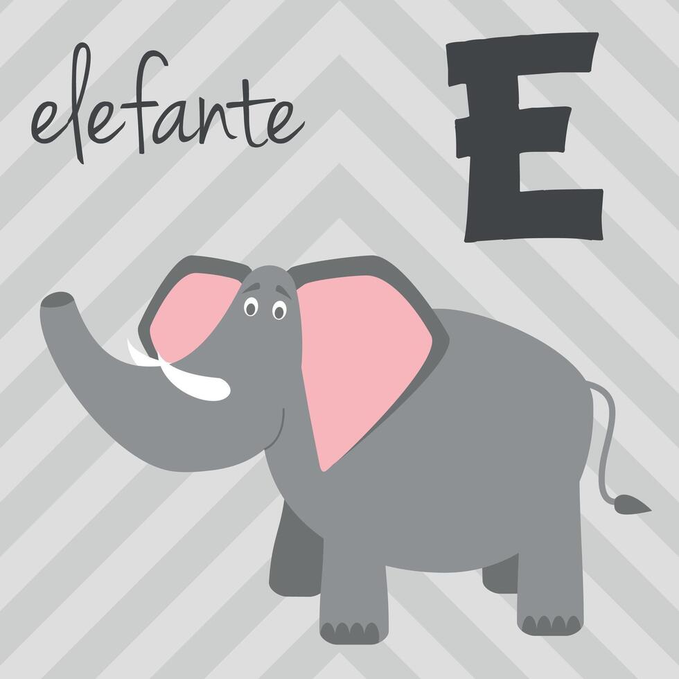 Cute cartoon zoo illustrated alphabet with funny animals. Spanish alphabet. E for Elephant in spanish. Learn to read. Isolated illustration. vector