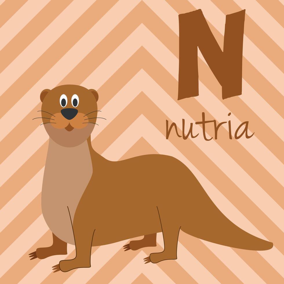 Cute cartoon zoo illustrated alphabet with funny animals. Spanish alphabet. N for Otter in spanish. Learn to read. Isolated illustration. vector