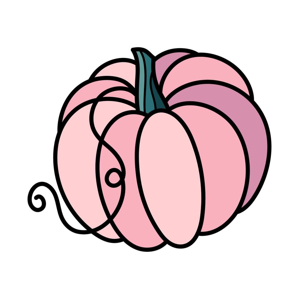 linda rosado otoño calabaza. mano dibujado ilustración para Víspera de Todos los Santos y acción de gracias decoración. vector