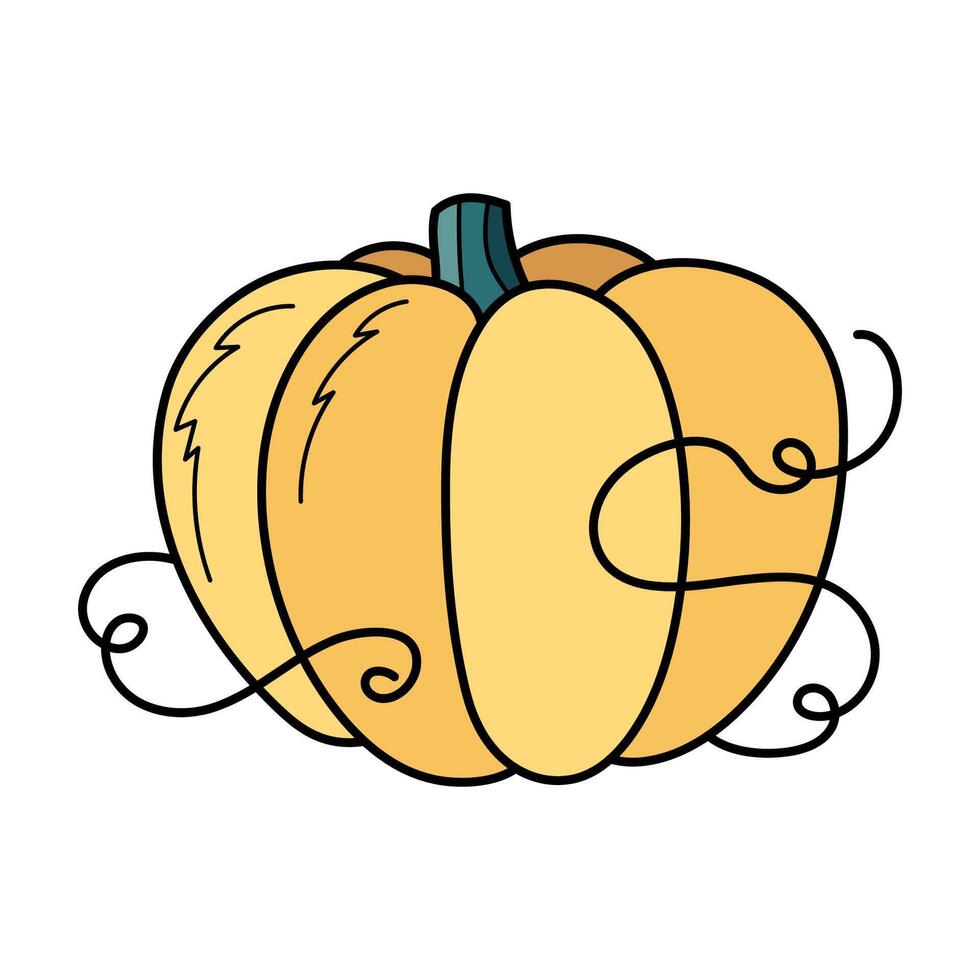 Cute yellow autumn pumpkin. Hand drawn illustration for Halloween and Thanksgiving decoration. vector