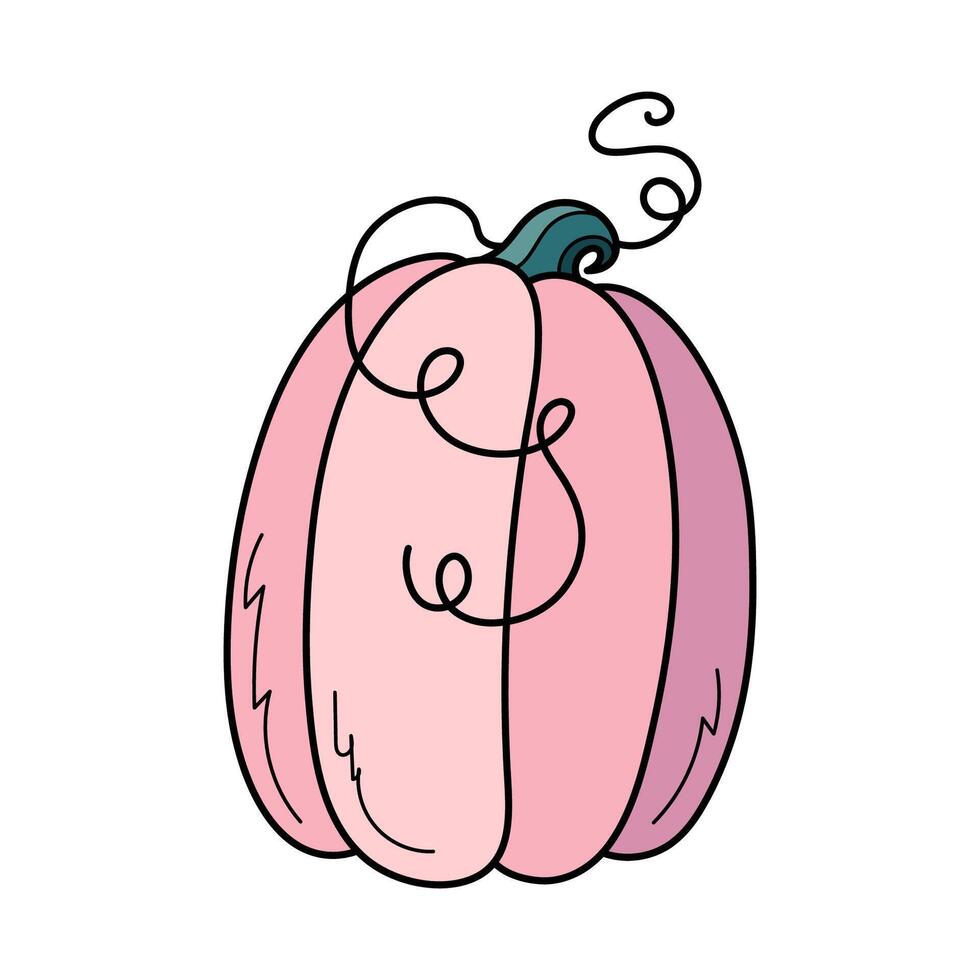 Cute pink autumn pumpkin. Hand drawn illustration for Halloween and Thanksgiving decoration. vector