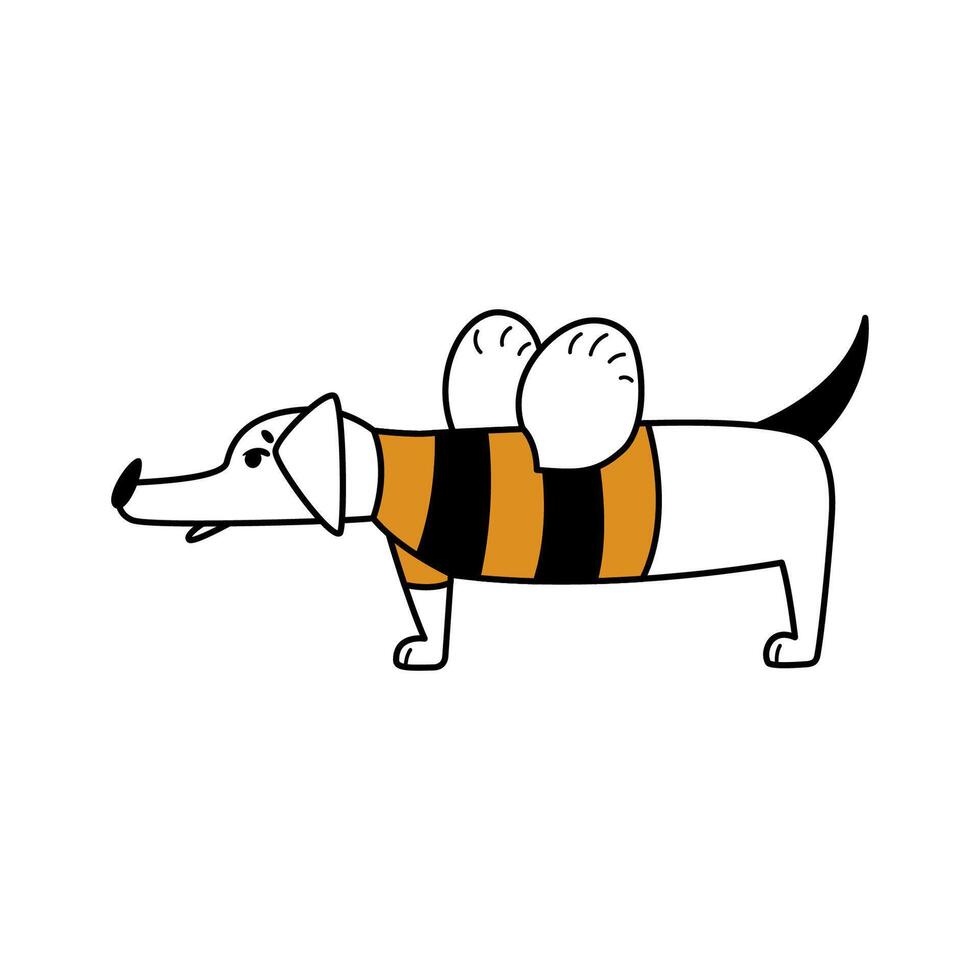 A comic cartoon dog stands in a funny striped bee costume. Simple isolated flat illustration with dachshund character. Cool mascot for stickers, logos, branding. Pet for vet clinic, zoo shop, food. vector