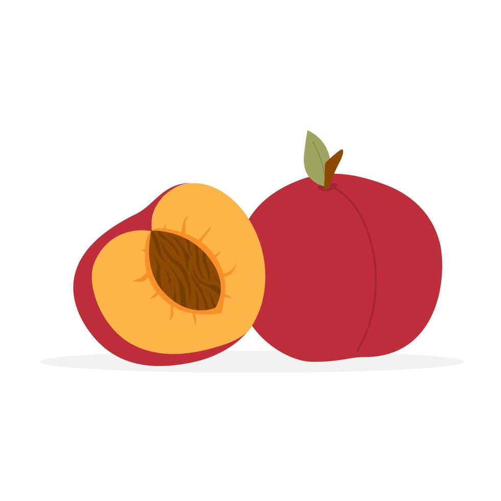 Nectarine fruit. Tropical fruit whole and half sliced. Ripe red nectarine or peach. illustration in flat style. vector