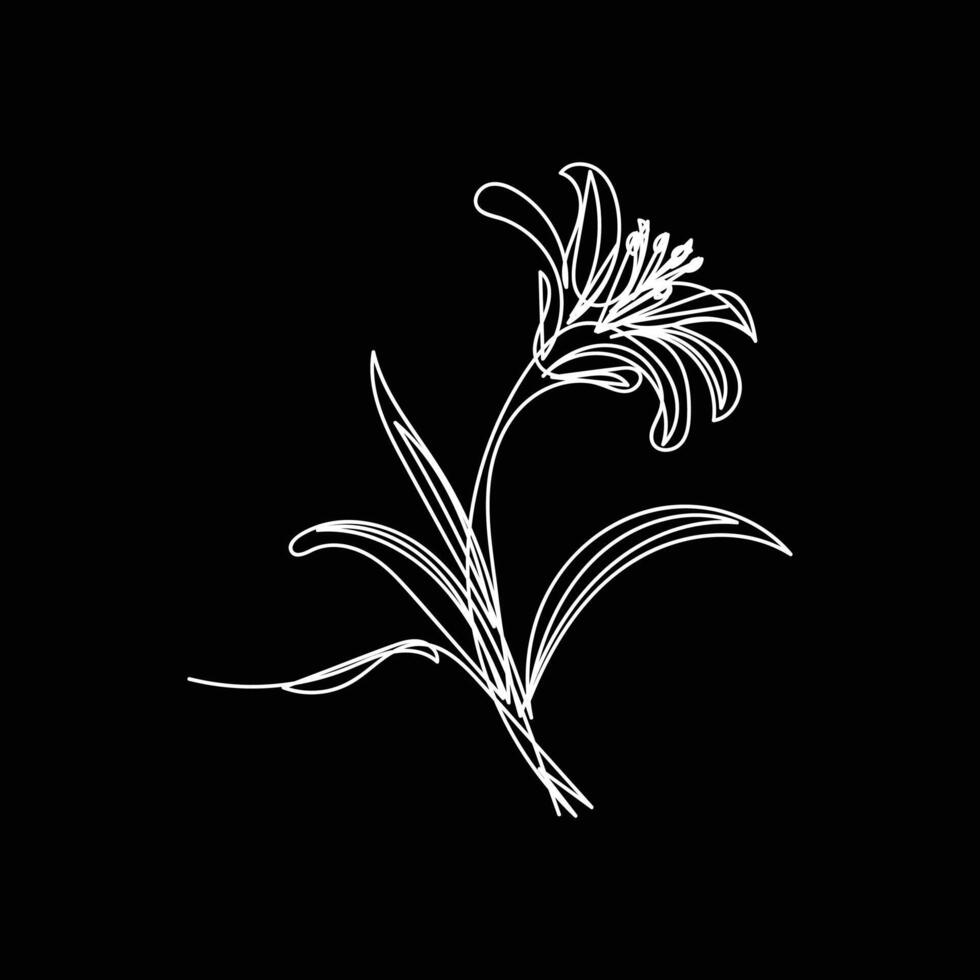 Abstract Flower Lily one line art drawing singular aesthetic minimalist , one line art, line art, icon, logo vector