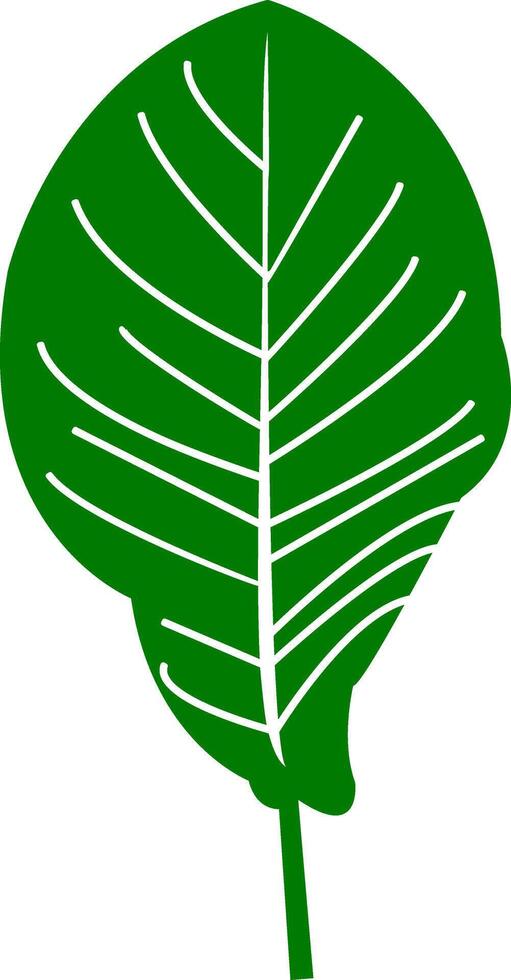 Add a touch of nature to your eco-friendly products with this Tropical Jungle Green Leaf Illustration. vector