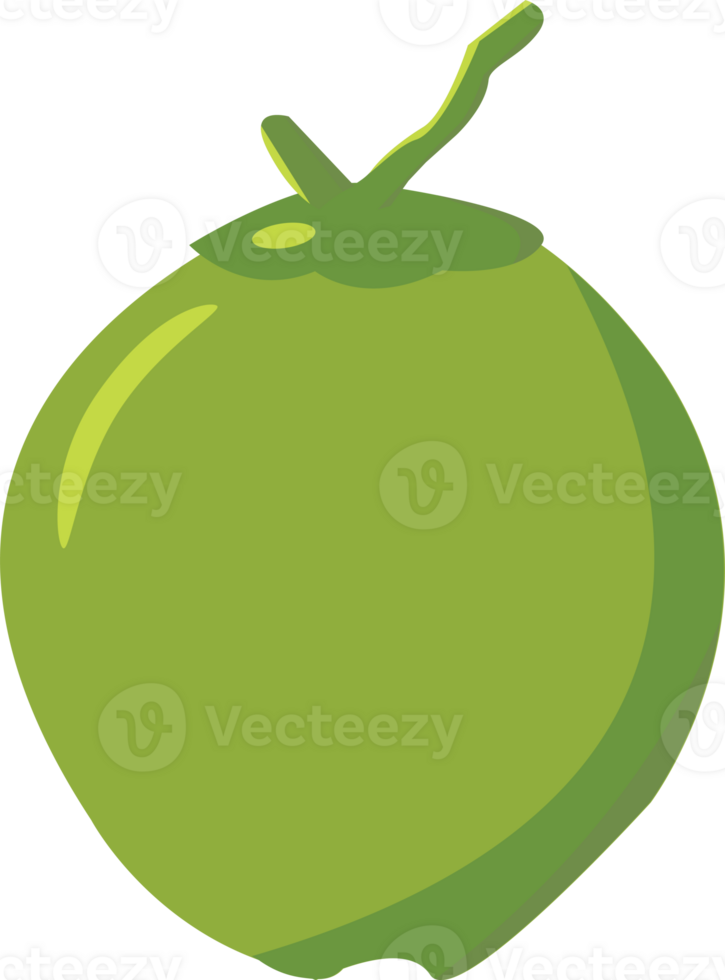 Coconut fruit for graphic design, logo, web site, social media, mobile app, ui illustration png