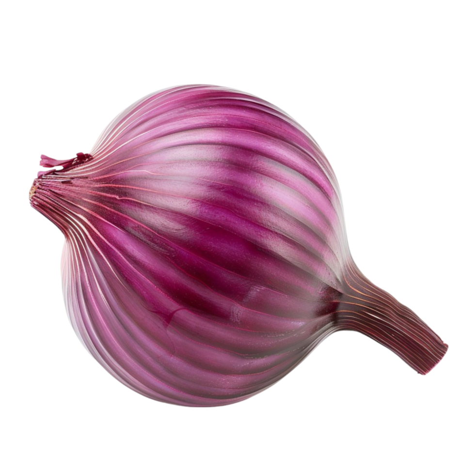 Culinary Gems Elevate Your Cooking with the Distinctive Taste of Fresh Purple Onions png