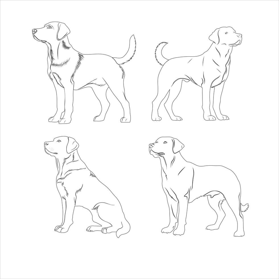 Hand drawn Labrador Retriever dog outline illustration vector