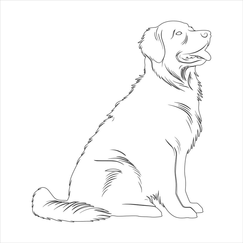 Hand drawn Golden Retriever dog outline illustration vector