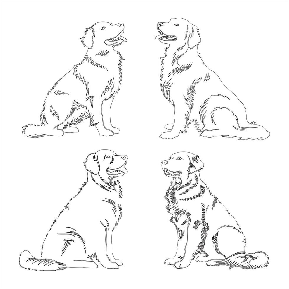 Hand drawn Golden Retriever dog outline illustration vector
