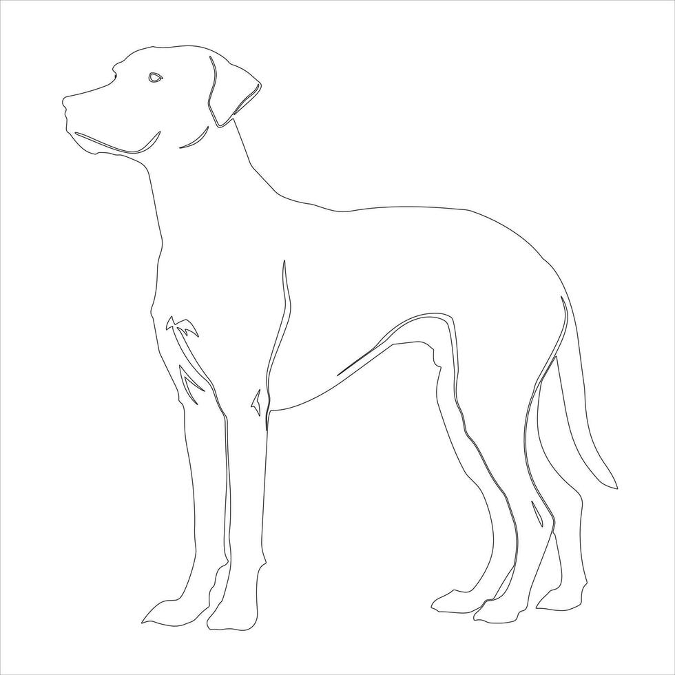 Hand drawn dog outline illustration vector